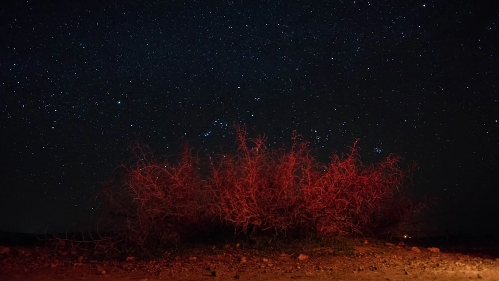 Road Trip au Maroc en 10 jours : Plan complet