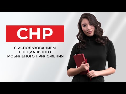 Разработка мобильных приложений в Казахстане: всё, что вам нужно знать
