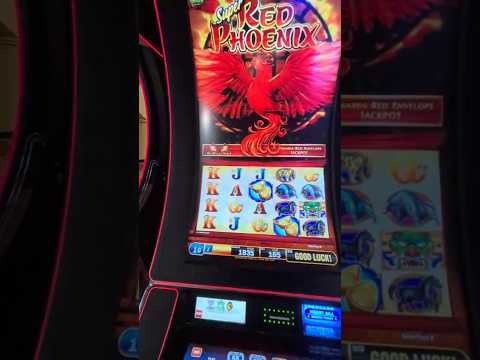 Discover the Ultimate Game Selection & Leading Providers at SlotsDon - Your Top Choice for Online Casino Entertainment